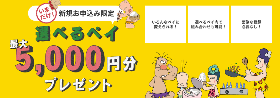 物価高対策キャンペーン